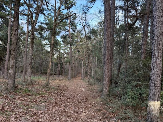 5772 Pr 2065, Centerville, TX 75833