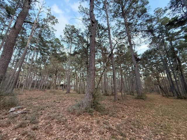 5772 Pr 2065, Centerville, TX 75833