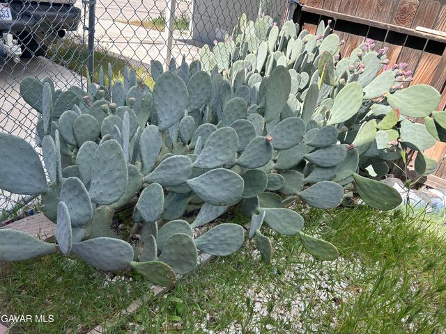 21761 Wisteria Street ,, California City, CA 93505