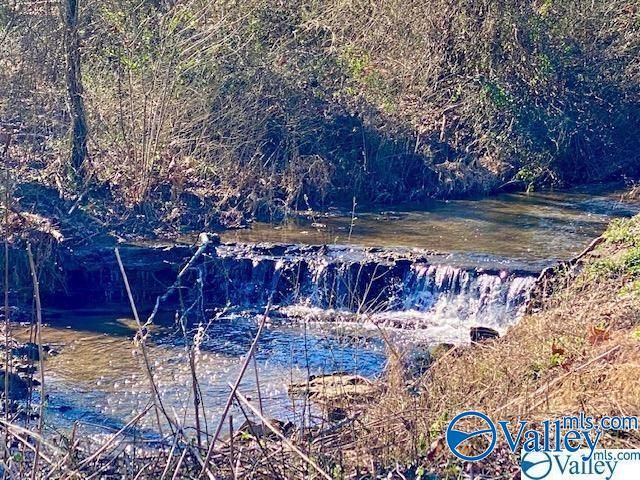 28668 Thach Road, Athens, AL 35613