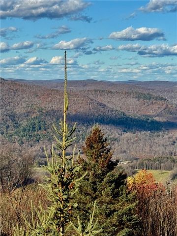 670 Marys Way, Walton, NY 13856