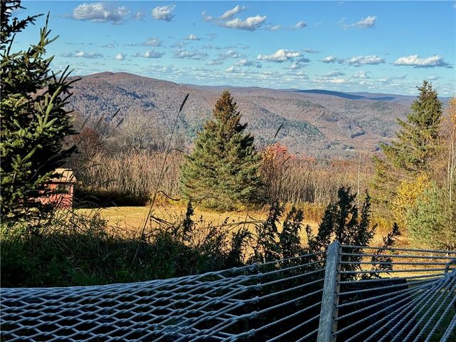 670 Marys Way, Walton, NY 13856