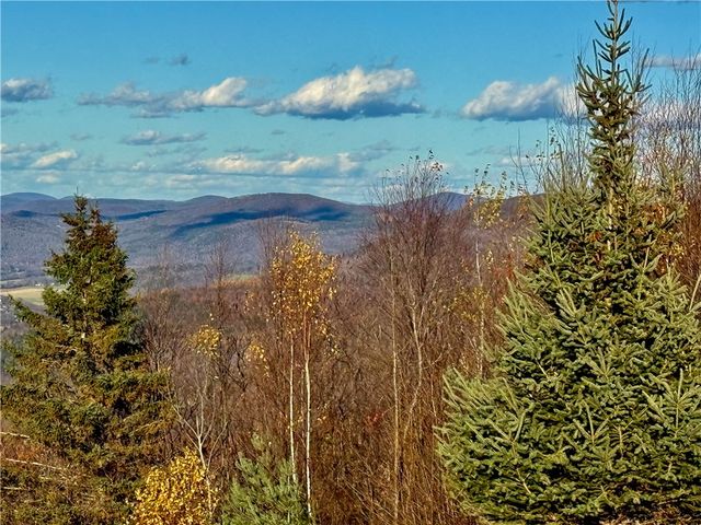 670 Marys Way, Walton, NY 13856