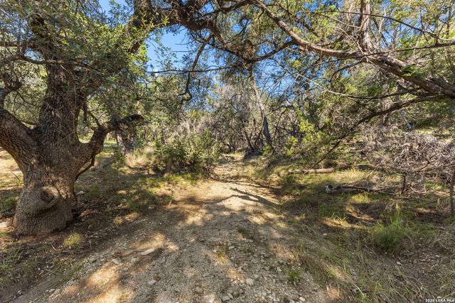 31051 Elise Ann, Bulverde, TX 78163