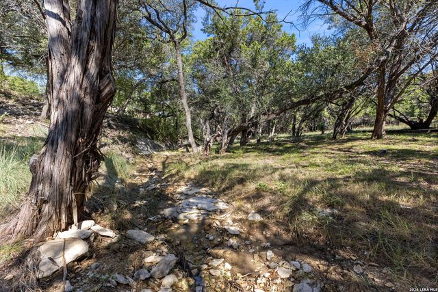 31051 Elise Ann, Bulverde, TX 78163