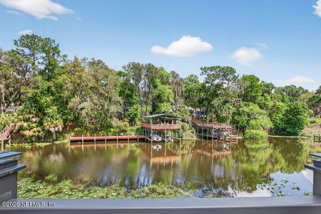 293 MAXWELL Drive, Welaka, FL 32193
