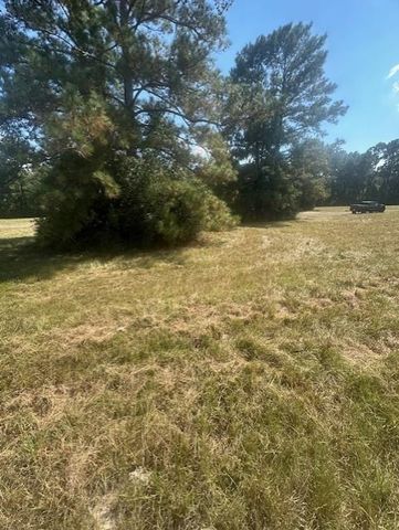 Lot 16 Long Iron, Trinity, TX 75862