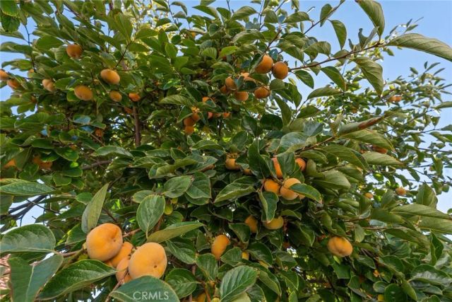 7422 Kyle Court, West Hills, CA 91307