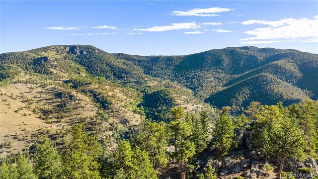 Lot F Gray Wolf Trail, Golden, CO 80403