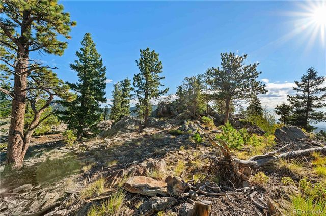 Lot F Gray Wolf Trail, Golden, CO 80403