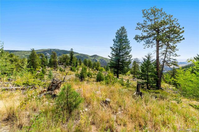 Lot F Gray Wolf Trail, Golden, CO 80403