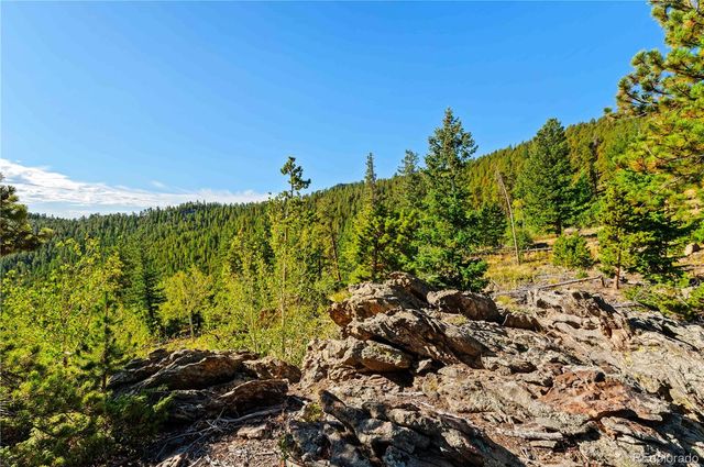 Lot F Gray Wolf Trail, Golden, CO 80403