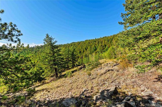 Lot F Gray Wolf Trail, Golden, CO 80403