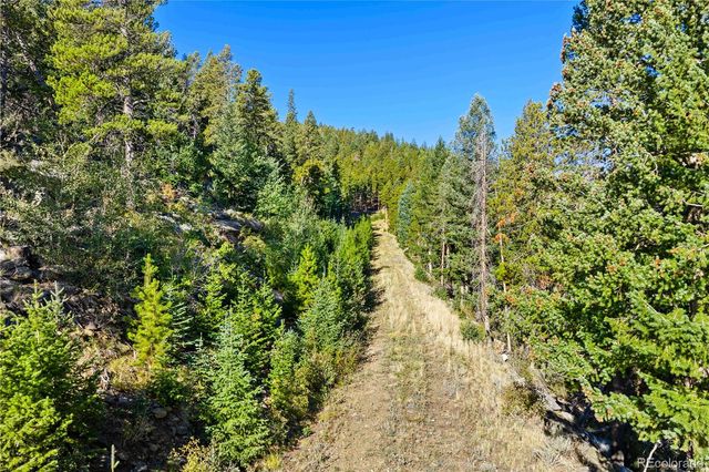 Lot F Gray Wolf Trail, Golden, CO 80403