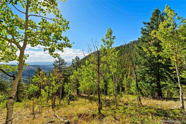 Lot F Gray Wolf Trail, Golden, CO 80403