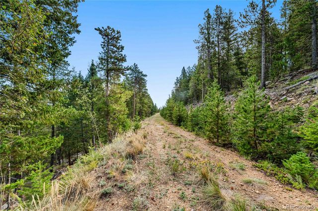 Lot F Gray Wolf Trail, Golden, CO 80403