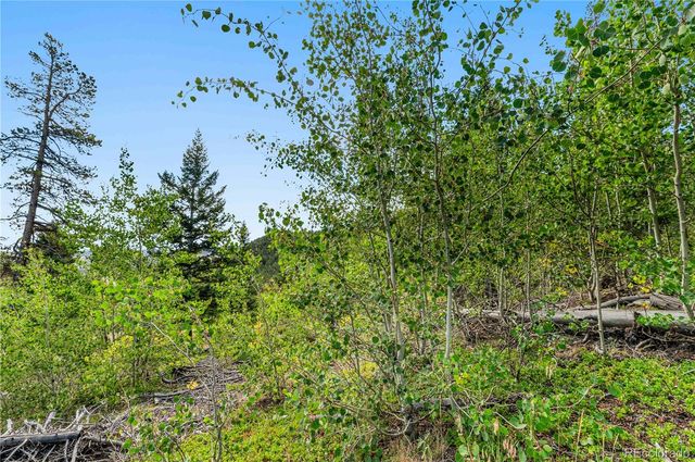 Lot F Gray Wolf Trail, Golden, CO 80403