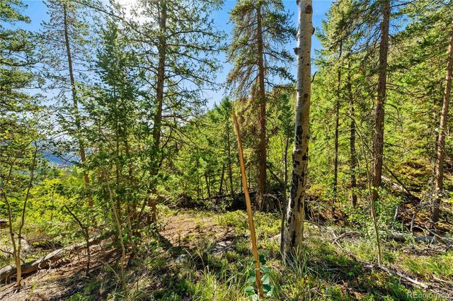 Lot F Gray Wolf Trail, Golden, CO 80403