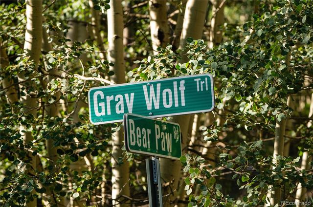 Lot F Gray Wolf Trail, Golden, CO 80403