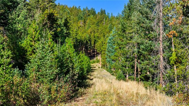 Lot F Gray Wolf Trail, Golden, CO 80403