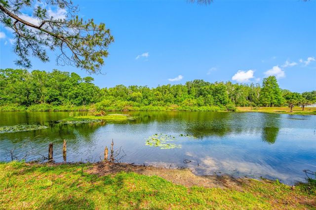 4448 RANCHWOOD LANE, Tampa, FL 33624