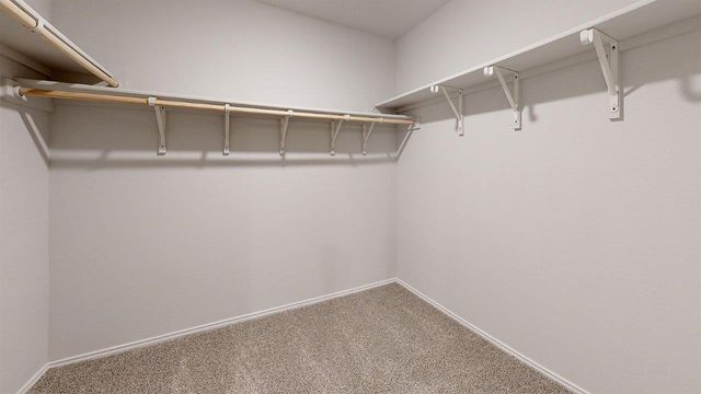 301 Presley DR, Killeen, TX 76542