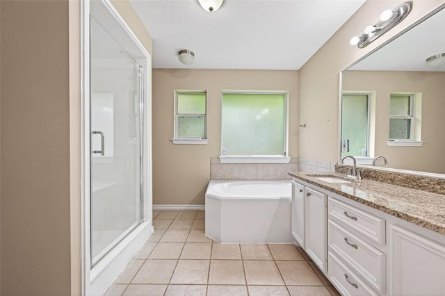 11655 Lakeview Manor Drive, Willis, TX 77318