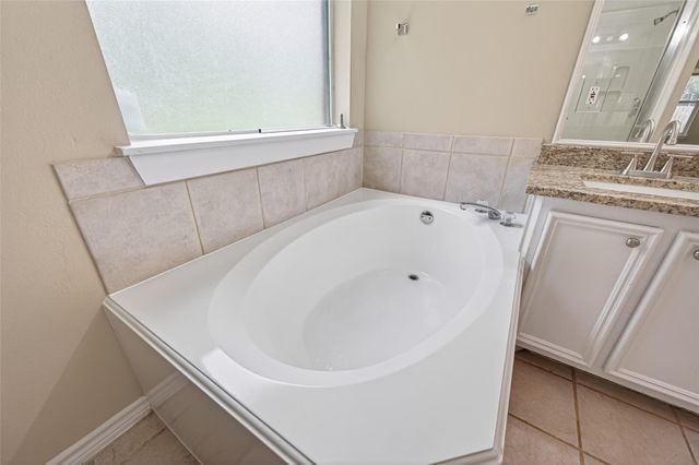 11655 Lakeview Manor Drive, Willis, TX 77318