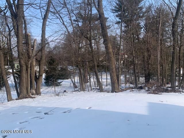 49 Court Street, Freehold, NJ 07728