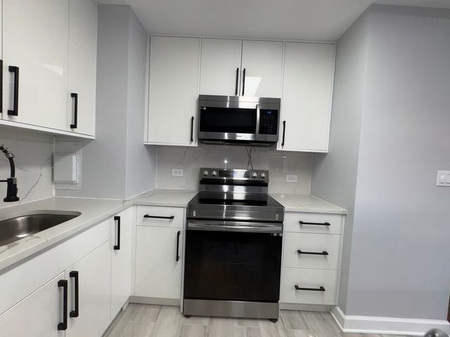 6171 N Sheridan Road 1102, Chicago, IL 60660