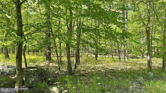 105646 Spring Court, Pike, PA 18324