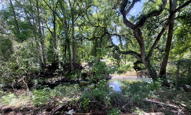 9347 RIVER ROCK DRIVE, Webster, FL 33597