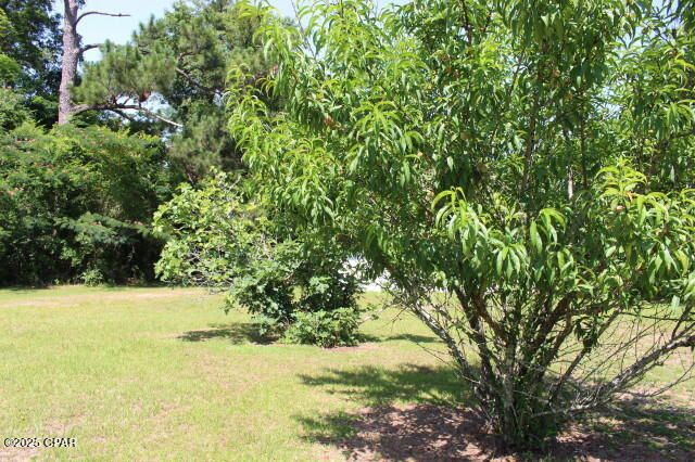 2100 3rd Avenue, Sneads, FL 32460