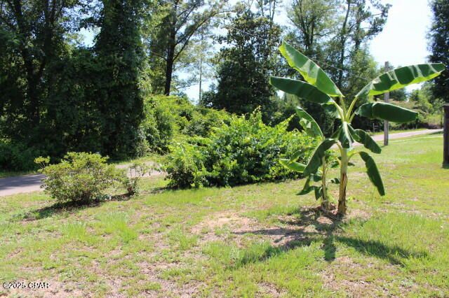 2100 3rd Avenue, Sneads, FL 32460