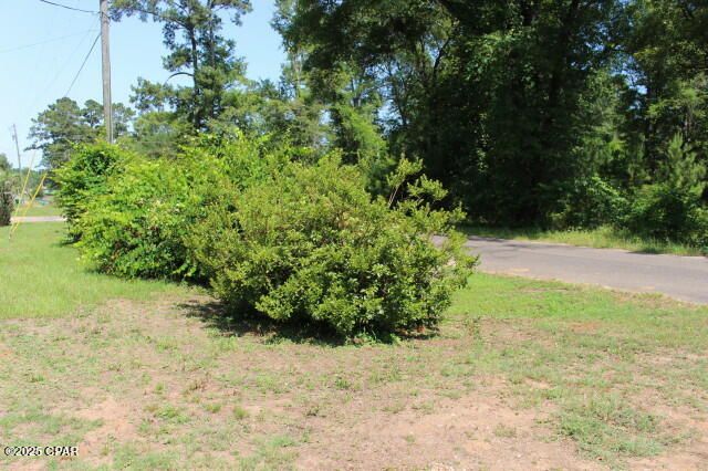 2100 3rd Avenue, Sneads, FL 32460