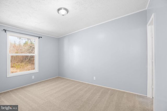 10000 HUMMINGBIRD LN, Partlow, VA 22534