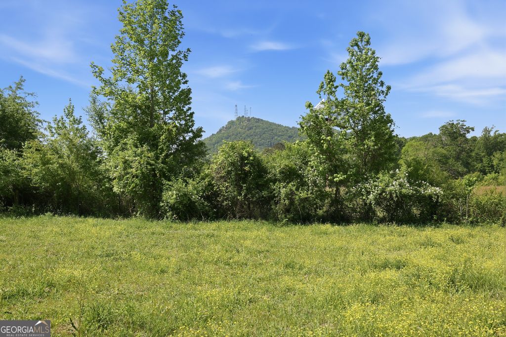 3120 W Currahee Street, Toccoa, GA 30577 — photo 4