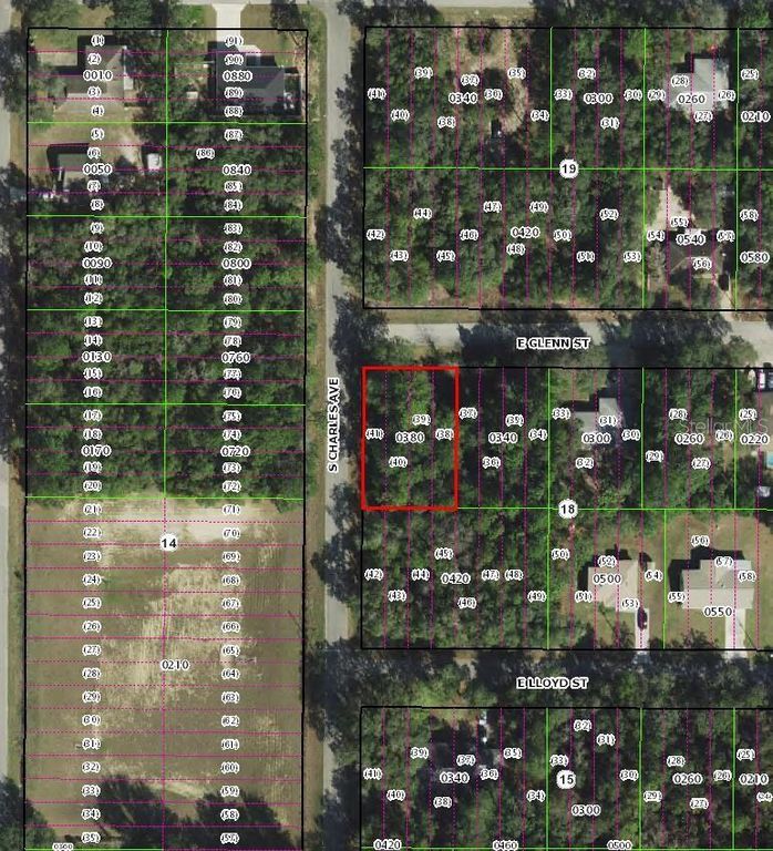 3022 E GLENN STREET, Inverness, FL 34453