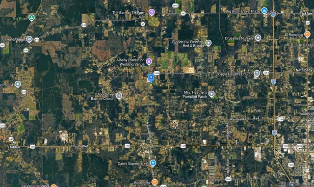 45355 Durbin Road Ext, Albany, LA 70711