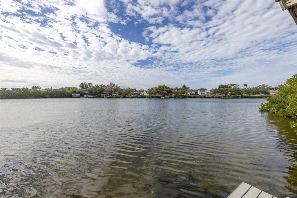 Image 18 of property listing at 734 WEEDON DRIVE NE, St Petersburg, FL 33702