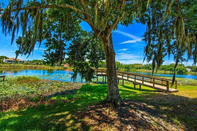 2459 SHOREWOOD LANE, Land O Lakes, FL 34639
