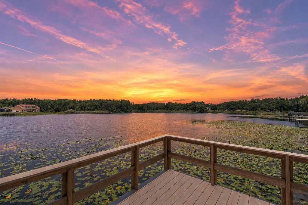 2459 SHOREWOOD LANE, Land O Lakes, FL 34639