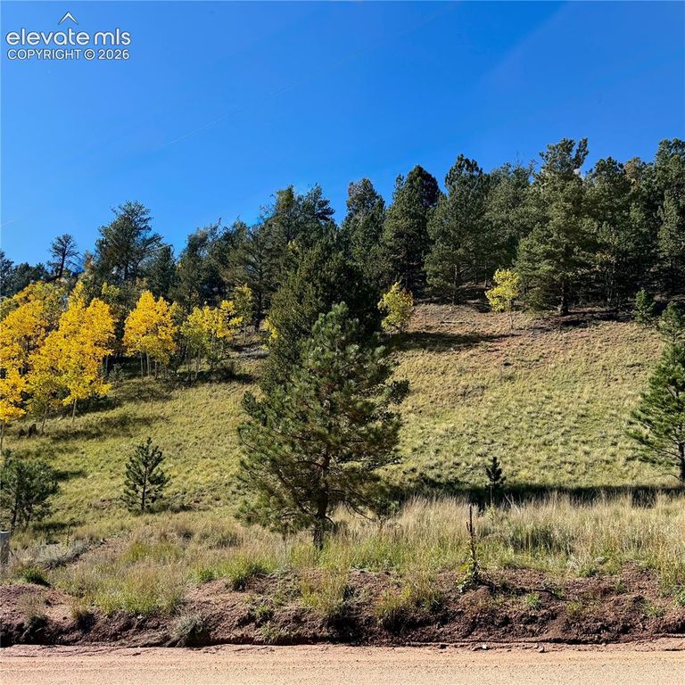 200 Beaver Pond Road, Divide, CO 80814 — exterior
