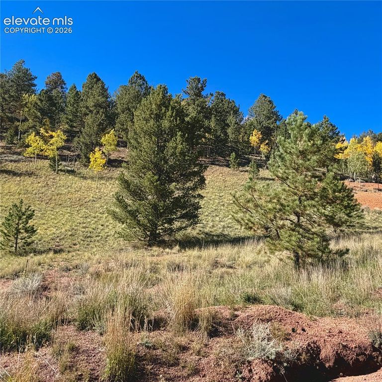 200 Beaver Pond Road, Divide, CO 80814 — photo 2