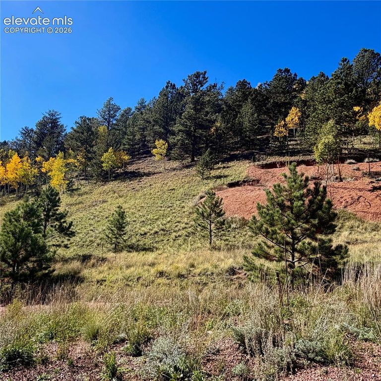 200 Beaver Pond Road, Divide, CO 80814 — photo 3