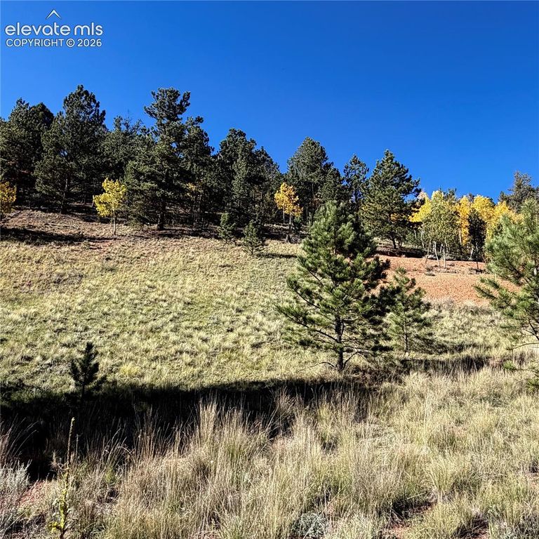 200 Beaver Pond Road, Divide, CO 80814 — photo 4
