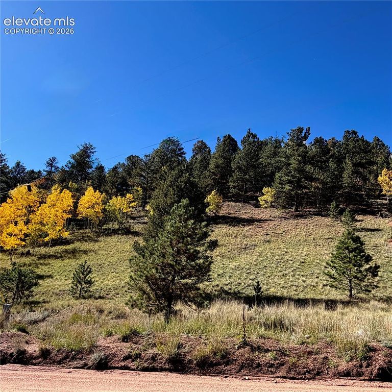 200 Beaver Pond Road, Divide, CO 80814 — photo 5