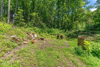 229 Sonshine Ridge Road, Cosby, TN 37722