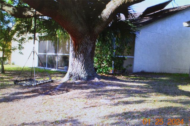 11111 BRAMBLEBRUSH STREET, Tampa, FL 33624