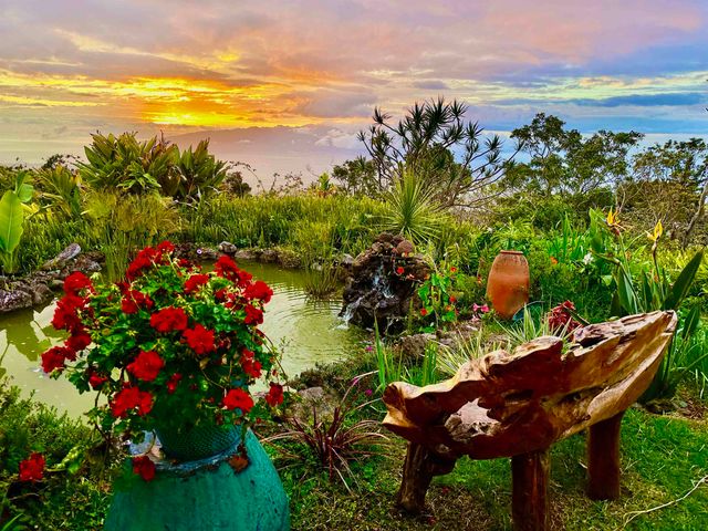 17526 Haleakala Hwy, Kula, HI 96790